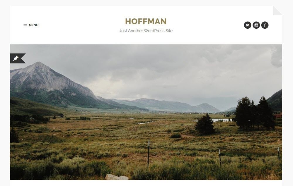 theme-wordpress-mien-phi-hoffman