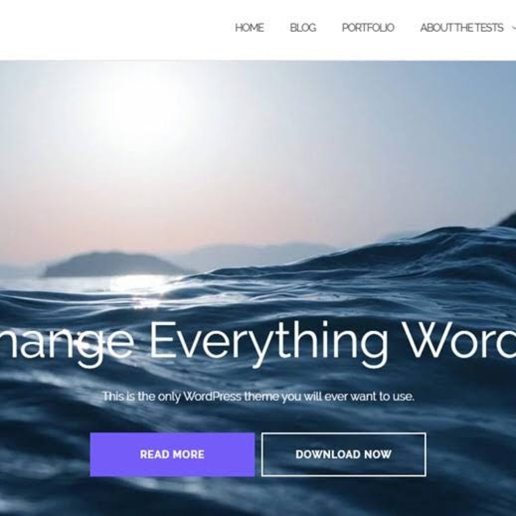 theme-wordpress-mien-phi-shapely
